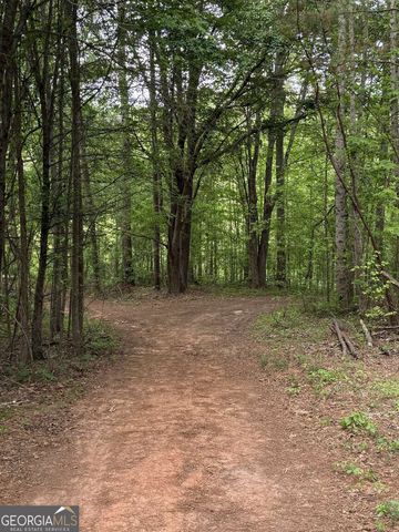3370 Cowart Road, Dawsonville, GA 30534