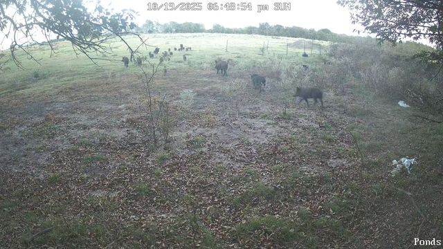 1440 County Road 2100, Cooper, TX 75432