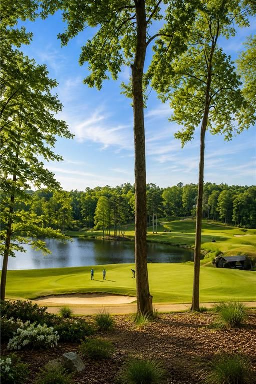 Image 17 of property listing at 293 Traditions Drive, Alpharetta, GA 30004