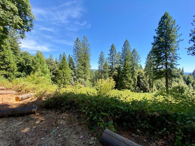 17385 Ashbury Way, Camptonville, CA 95922