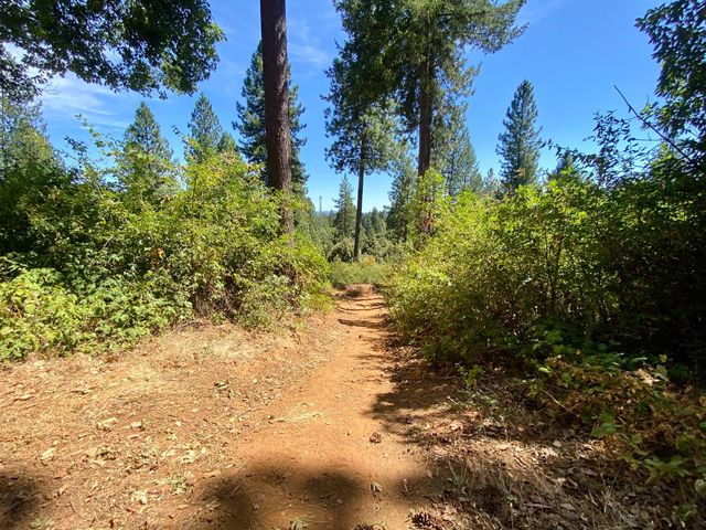 17385 Ashbury Way, Camptonville, CA 95922