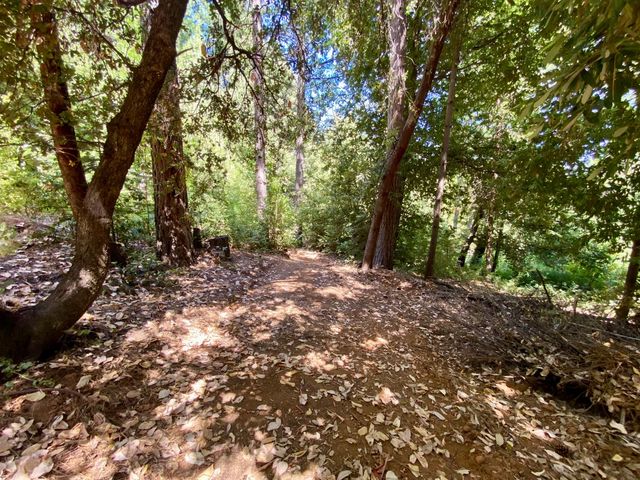 17385 Ashbury Way, Camptonville, CA 95922