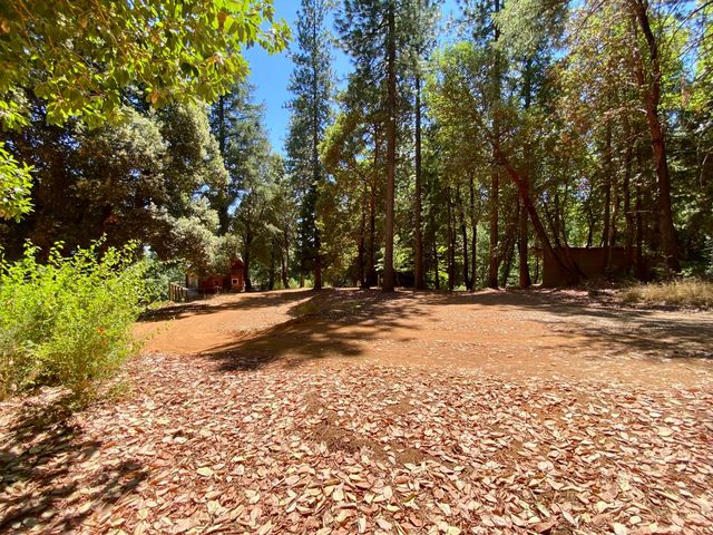 17385 Ashbury Way, Camptonville, CA 95922
