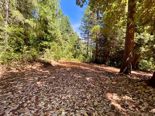 17385 Ashbury Way, Camptonville, CA 95922