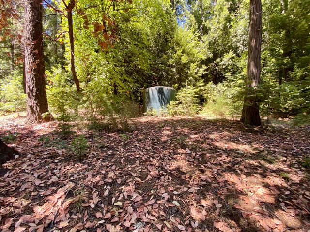 17385 Ashbury Way, Camptonville, CA 95922