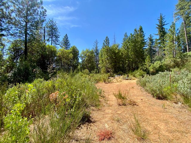 17385 Ashbury Way, Camptonville, CA 95922