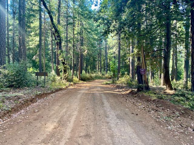 17385 Ashbury Way, Camptonville, CA 95922