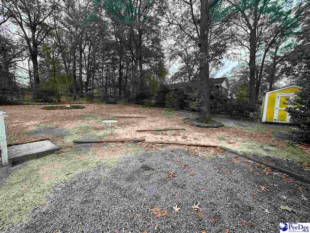 420 N Third Str, Hartsville, SC 29550