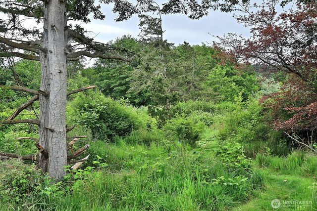 0 E Farmington Drive, Greenbank, WA 98253