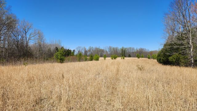 0 Allen Bend Rd, Smithville, TN 37166