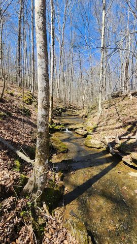 0 Allen Bend Rd, Smithville, TN 37166