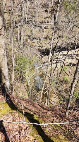 0 Allen Bend Rd, Smithville, TN 37166