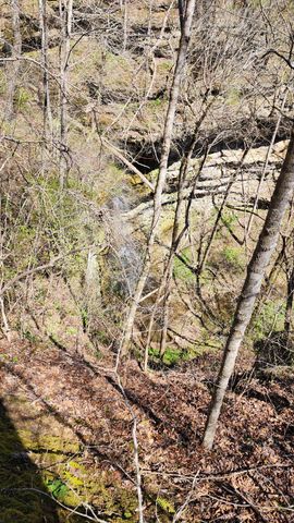 0 Allen Bend Rd, Smithville, TN 37166