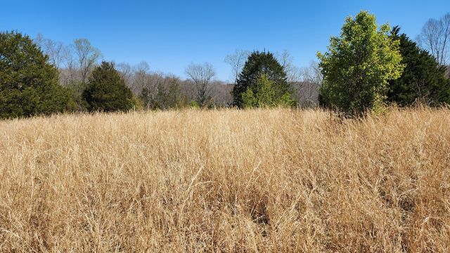 0 Allen Bend Rd, Smithville, TN 37166