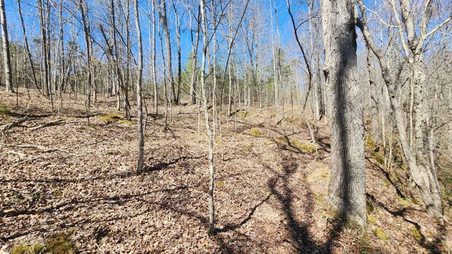 0 Allen Bend Rd, Smithville, TN 37166