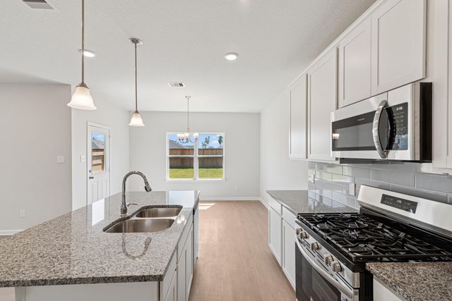 10236 Badger Run Lane, Magnolia, TX 77354