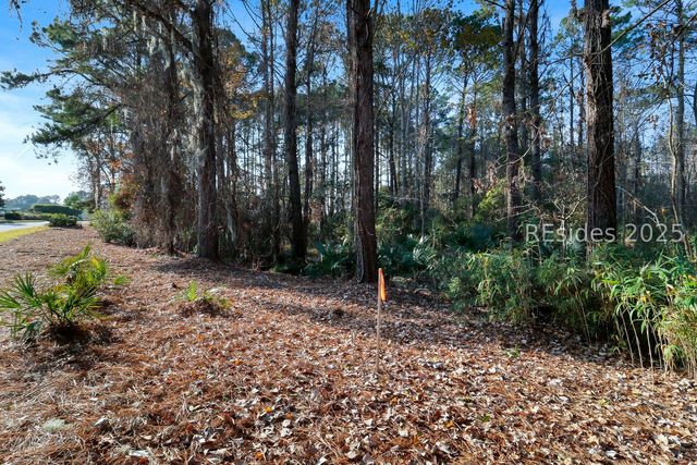 12 Shelburne Street, Bluffton, SC 29910