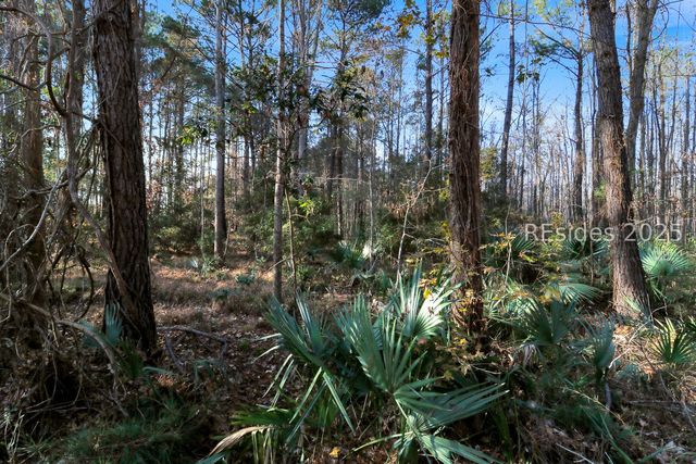 12 Shelburne Street, Bluffton, SC 29910