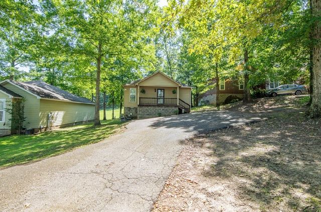 310 Ping Hill Cv, Counce, TN 38326