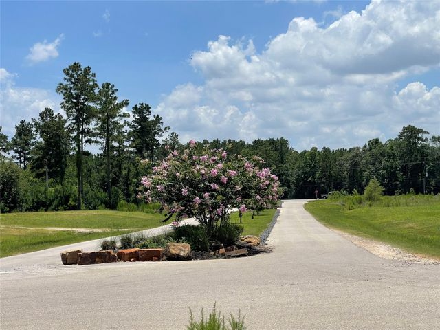 20035 Kincaid Drive, Conroe, TX 77306