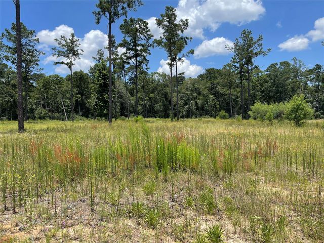 20035 Kincaid Drive, Conroe, TX 77306