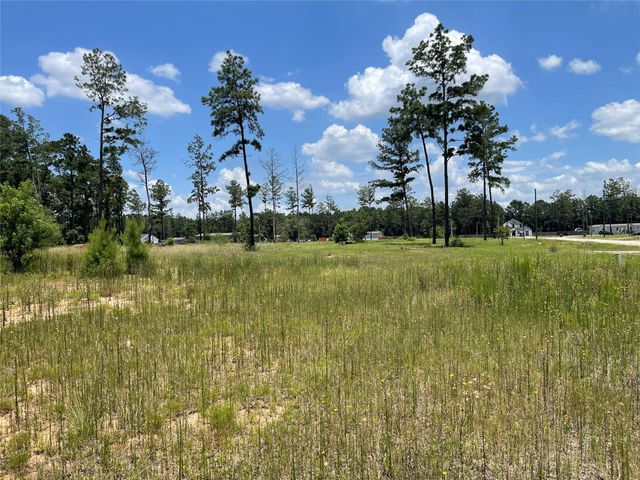 20035 Kincaid Drive, Conroe, TX 77306