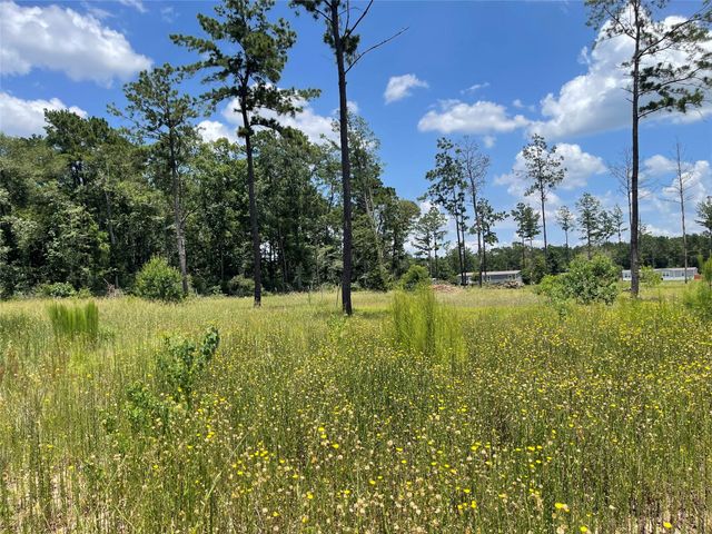 20035 Kincaid Drive, Conroe, TX 77306