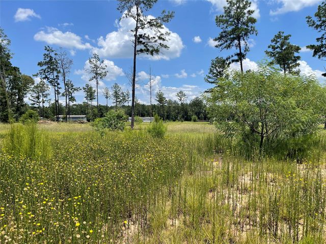20035 Kincaid Drive, Conroe, TX 77306