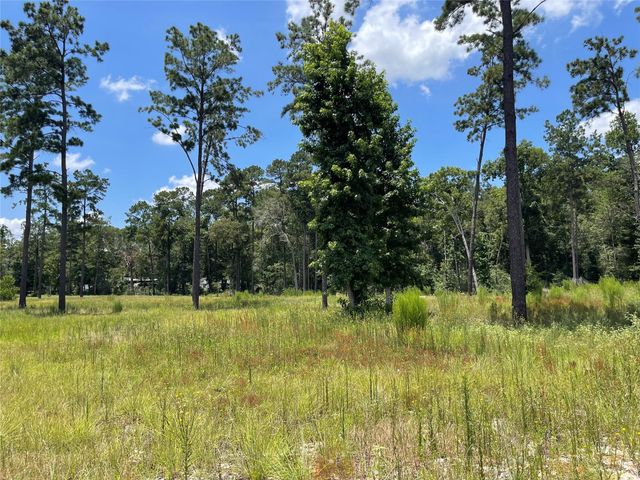 20035 Kincaid Drive, Conroe, TX 77306
