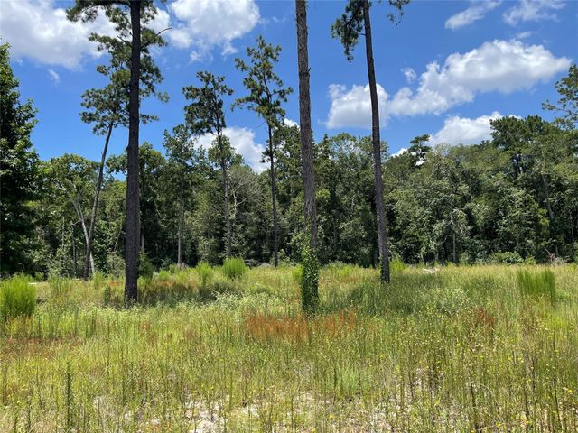20035 Kincaid Drive, Conroe, TX 77306