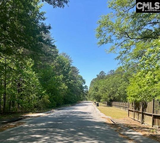 175 Geiger Lane, Gaston, SC 29053
