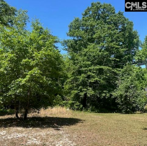 175 Geiger Lane, Gaston, SC 29053