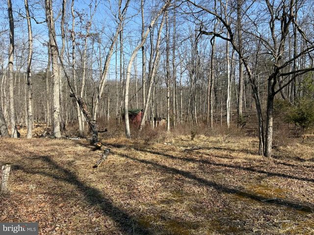 6427 BACK CREEK RD, High View, WV 26808