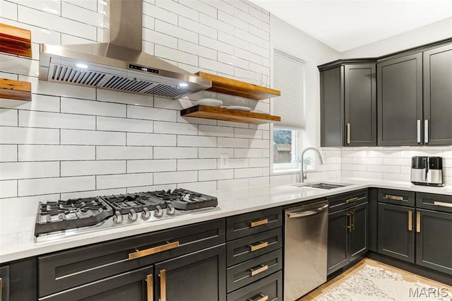 2853 S 18th Street, St Louis, MO 63118