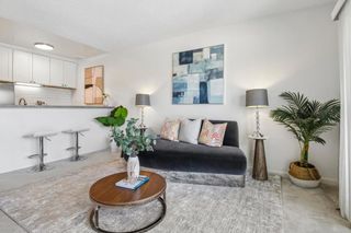 814 N Delaware Street 504, San Mateo, CA 94401