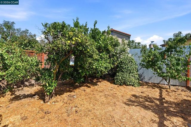 1736 Halsey Ave, San Leandro, CA 94578
