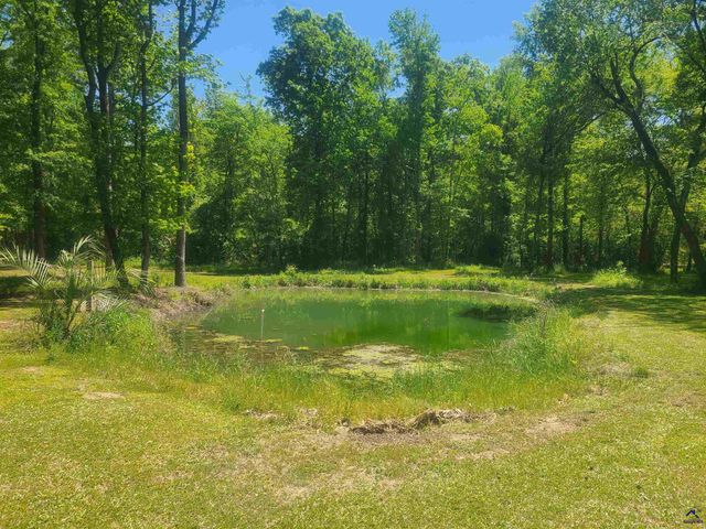 715 Perry Highway, Hawkinsville, GA 31036