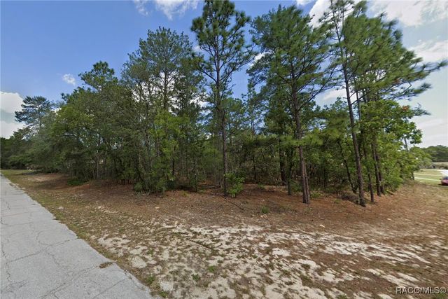 8302 N Valerian Way, Citrus Springs, FL 34433