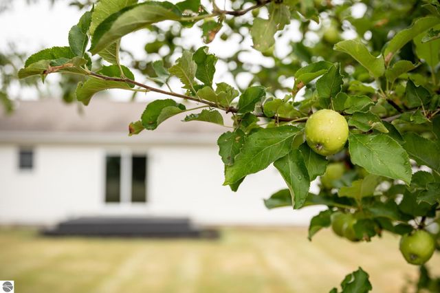 12305 S Lincoln Hollow Court, Cedar, MI 49621