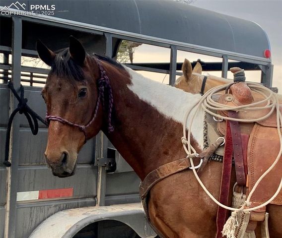 20670 Silverado Hill View, Colorado Springs, CO 80928