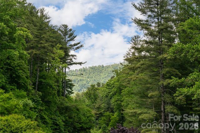 44 Woodland Aster Way, Asheville, NC 28804