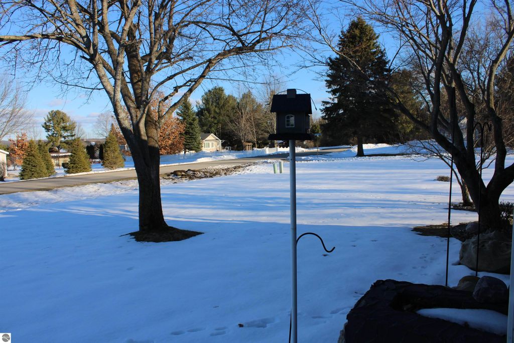 Image 19 of property listing at 11810 Chaney Drive, Rapid City, MI 49676