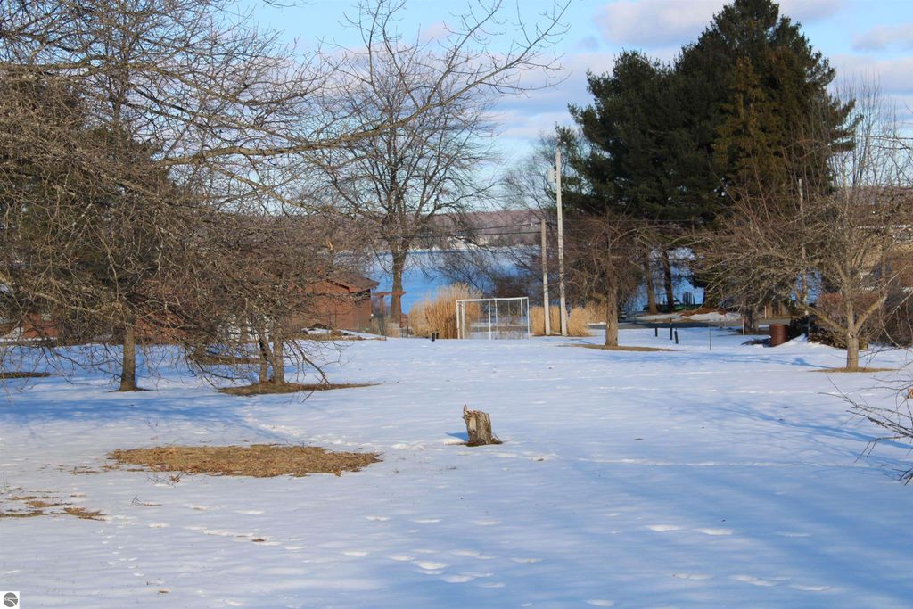 Image 20 of property listing at 11810 Chaney Drive, Rapid City, MI 49676