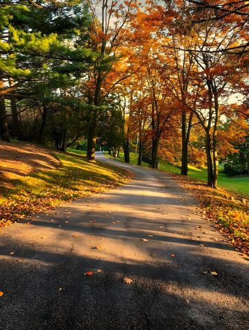 674 Plum Tree Road, Barrington Hills, IL 60010