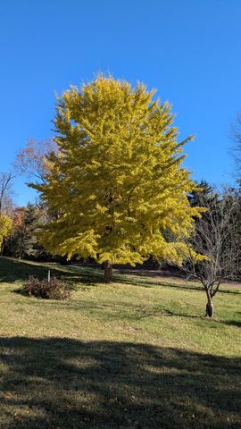 674 Plum Tree Road, Barrington Hills, IL 60010