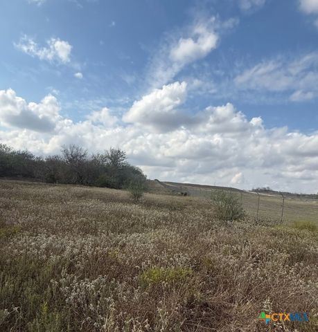 00 Simpson Ranch Road, Runge, TX 78151