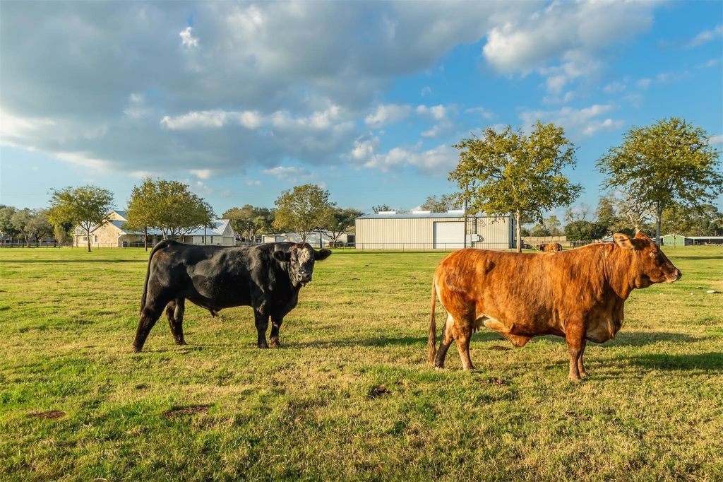 Image 27 of property listing at 3150 Holmes Road Road, Richmond, TX 77406