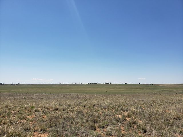 Rabbit Run Court, Moriarty, NM 87035