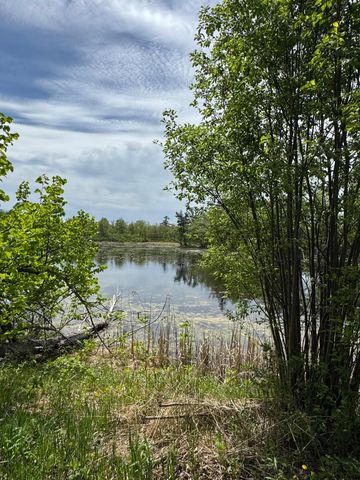 1469 Woodland Loop NW, Baudette, MN 56623