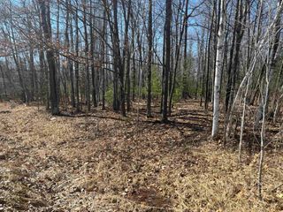 Pineway Drive, Gladwin, MI 48624